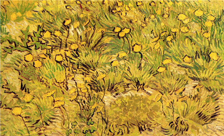 A Field Of Yellow Flowers Vincent Willem Van Gogh Oil Painting